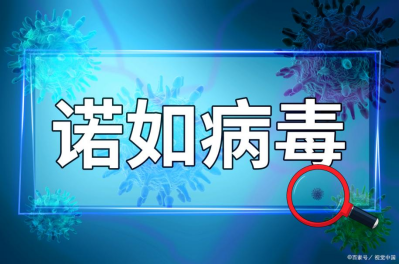 4d6cd2ce8fecb3c4bef647c701c91ccc.png